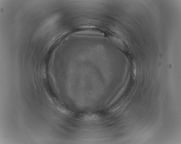 X0000070370547200606301859