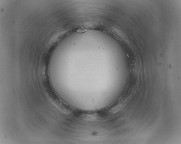 X0000070370548200606301859