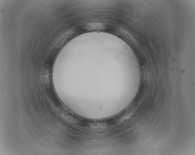 X0000070370549200606301859