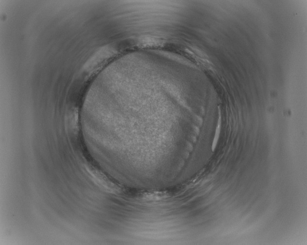 X0000070370550200606301859