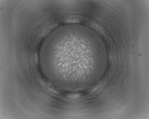 X0000070370551200606301859