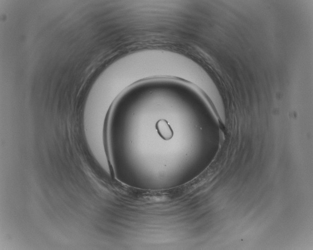 X0000070370552200606301859