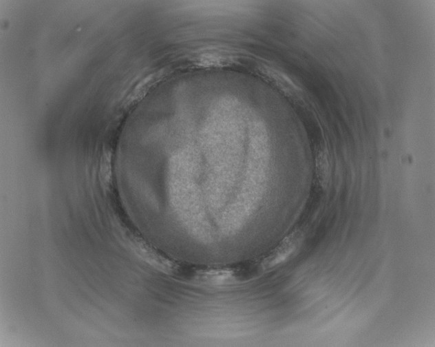 X0000070370554200606301859