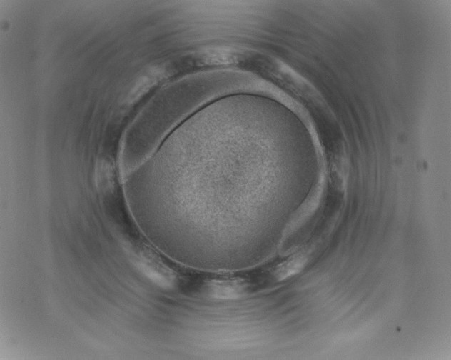 X0000070370556200606301859