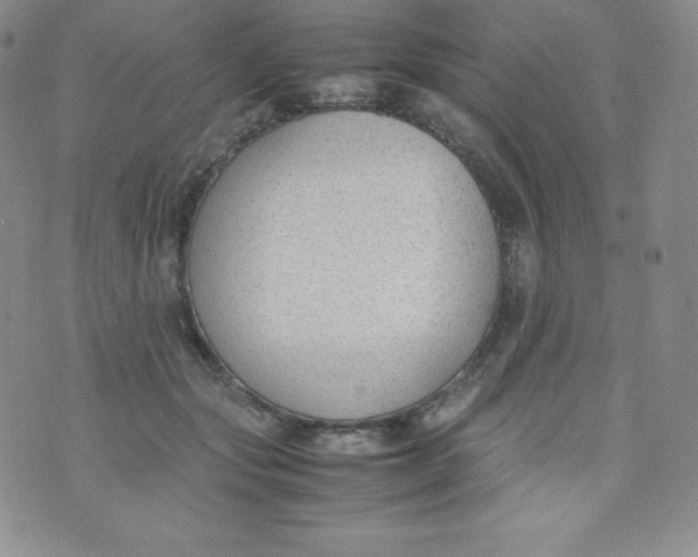 X0000070370557200606301859