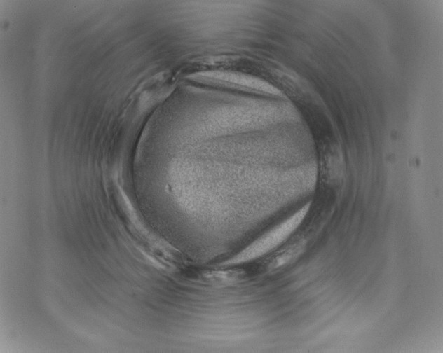 X0000070370558200606301859