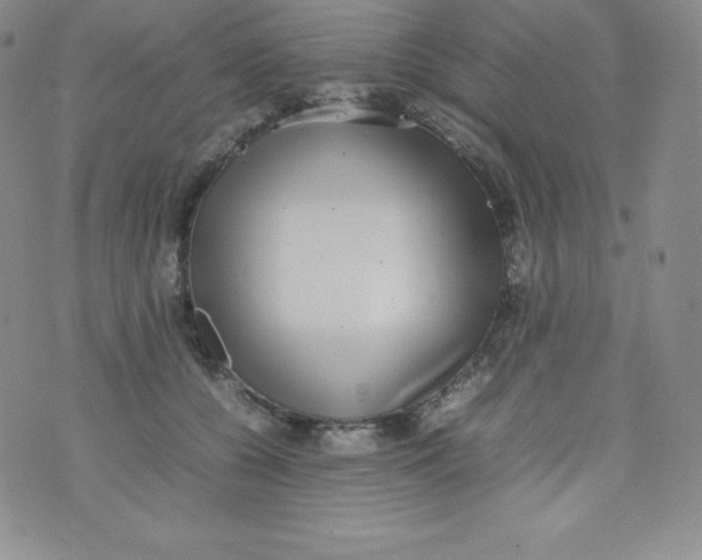 X0000070370560200606301859