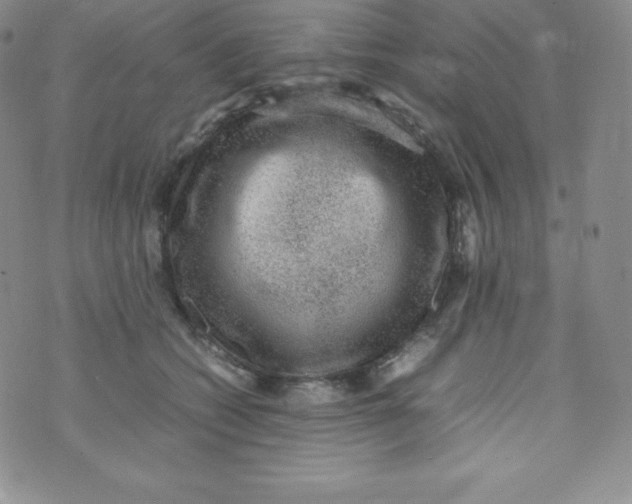 X0000070370562200606301859