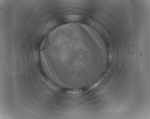 X0000070370563200606301859