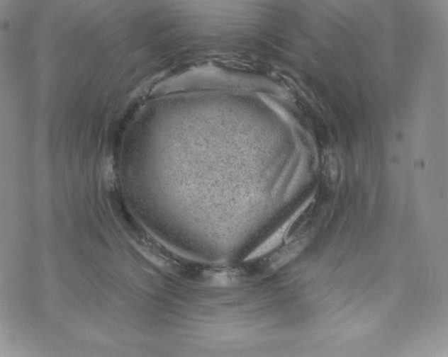 X0000070370564200606301859