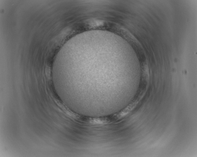 X0000070370565200606301859