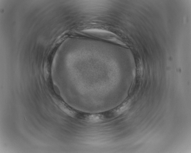 X0000070370566200606301859