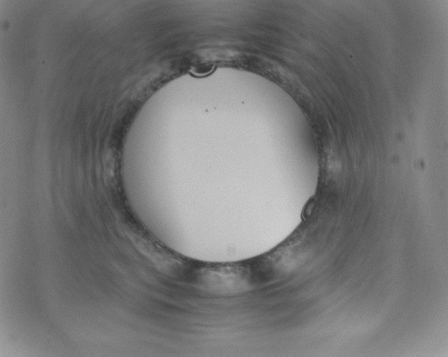 X0000070370567200606301859