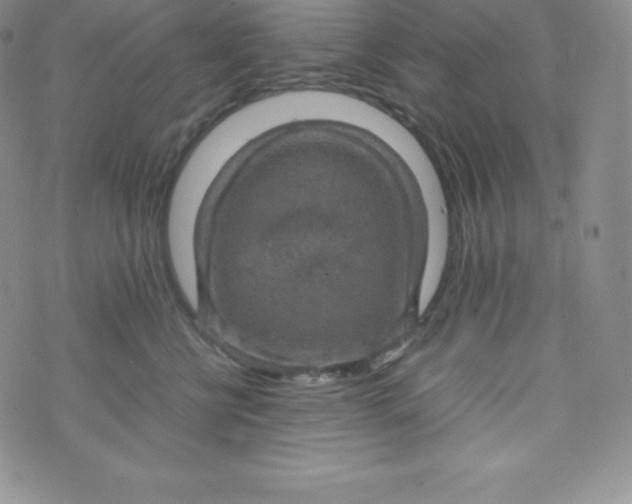 X0000070370570200606301859