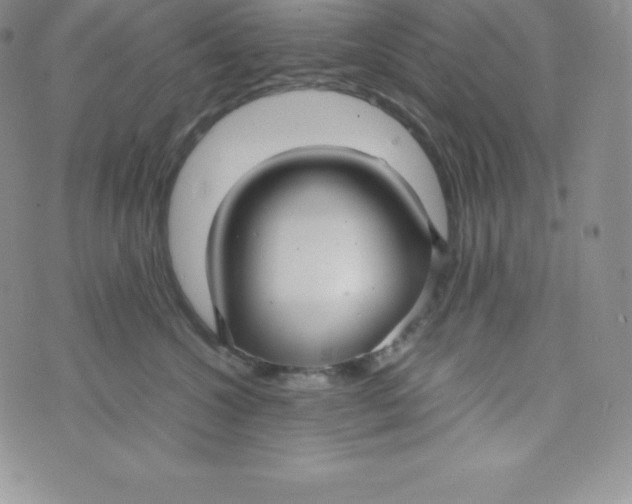 X0000070370572200606301859