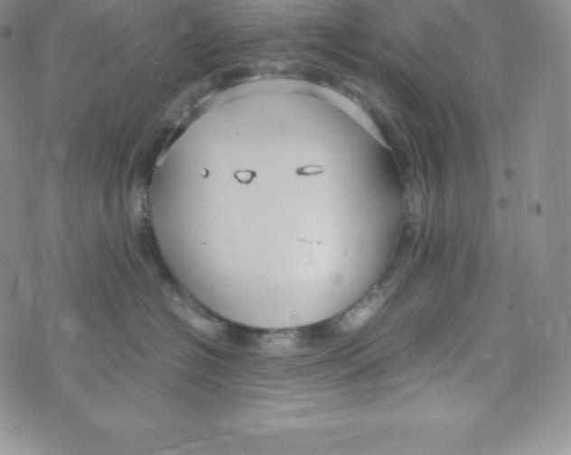 X0000070370574200606301859