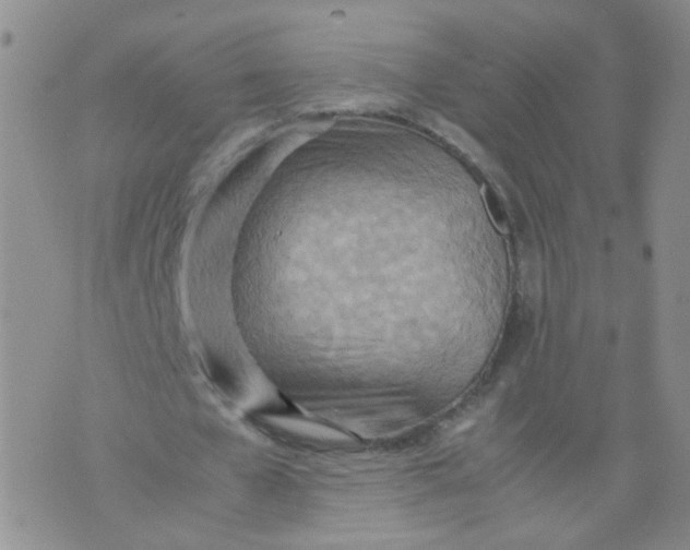 X0000070370577200606301858