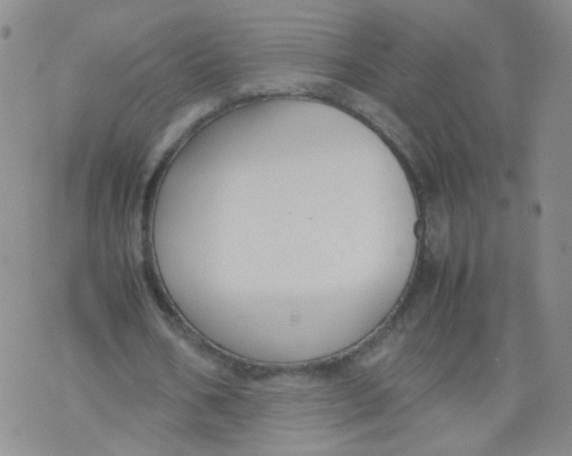 X0000070370578200606301858