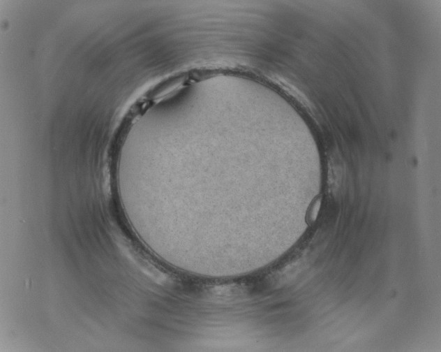 X0000070370584200606301858