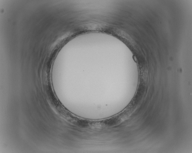 X0000070370587200606301858