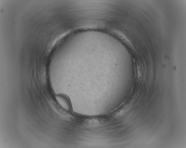 X0000070370588200606301858