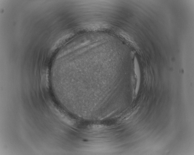 X0000070370590200606301858