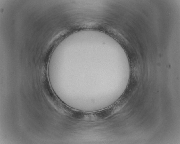 X0000070370591200606301858