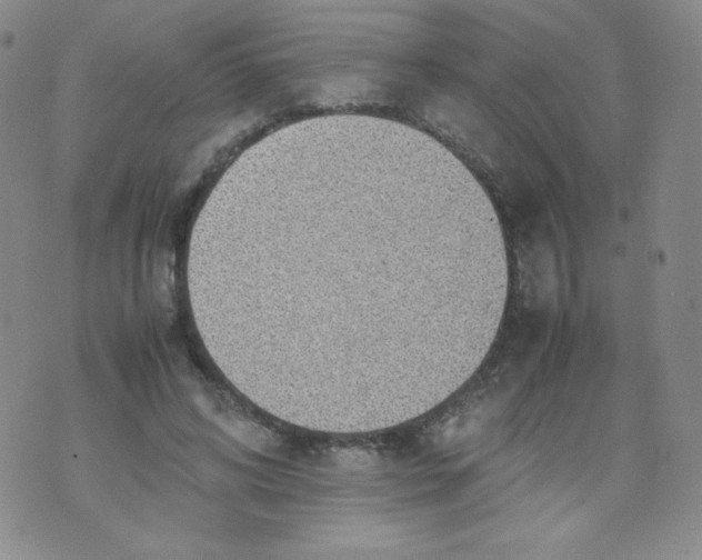 X0000070370592200606301858