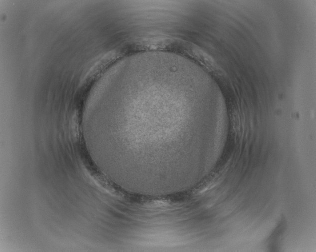 X0000070370594200606301858