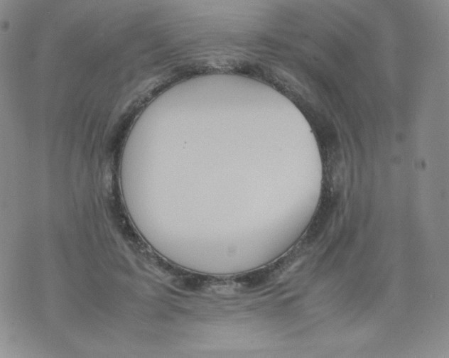 X0000070370595200606301858