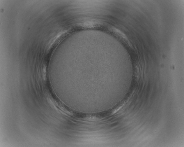 X0000070370596200606301858