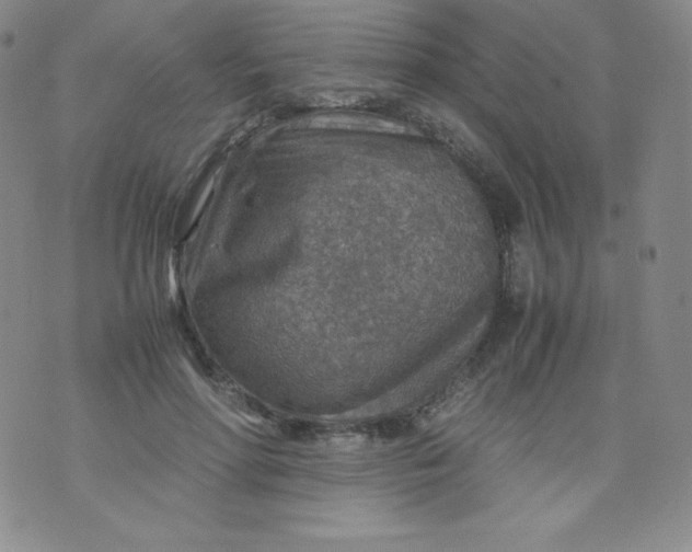 X0000070370598200606301858