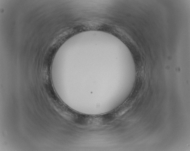 X0000070370599200606301858