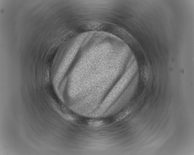 X0000070370602200606301858