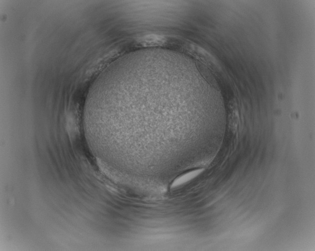 X0000070370604200606301858