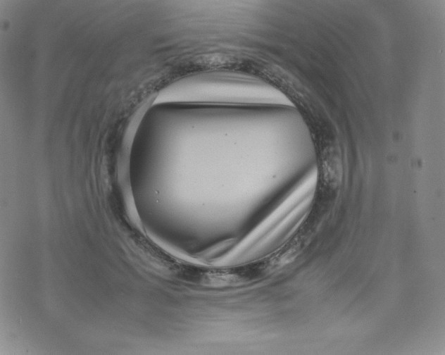 X0000070370605200606301858