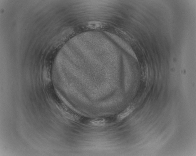 X0000070370606200606301858