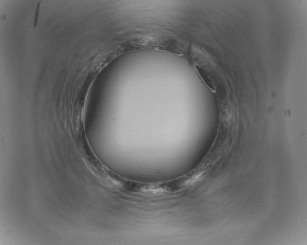 X0000070370607200606301858