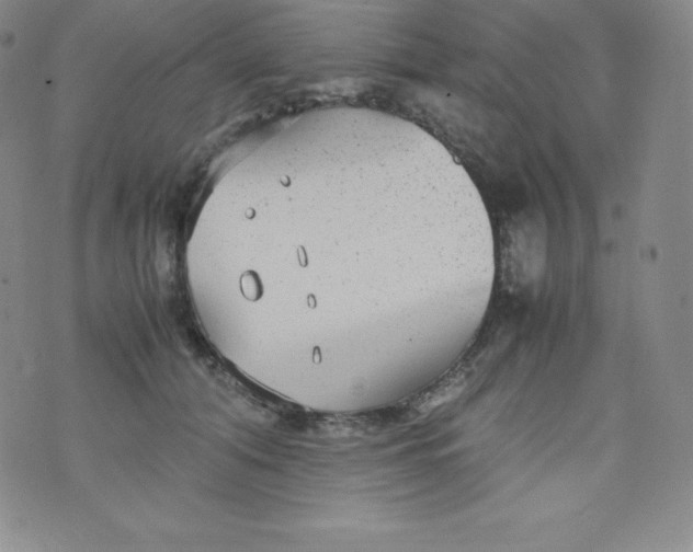 X0000070370608200606301858