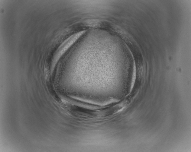 X0000070370609200606301858