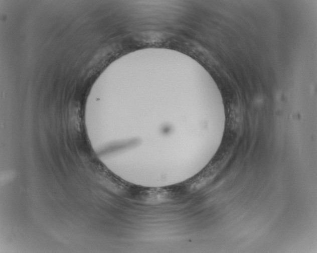 X0000070370612200606301858