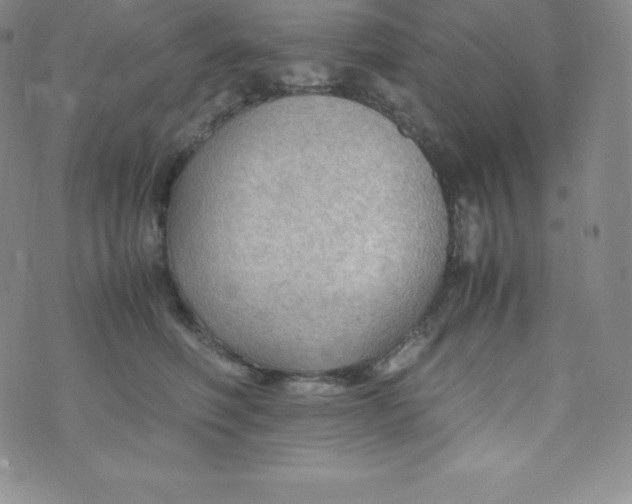 X0000070370614200606301858