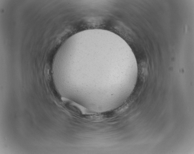 X0000070370615200606301858