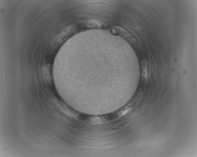 X0000070370616200606301858