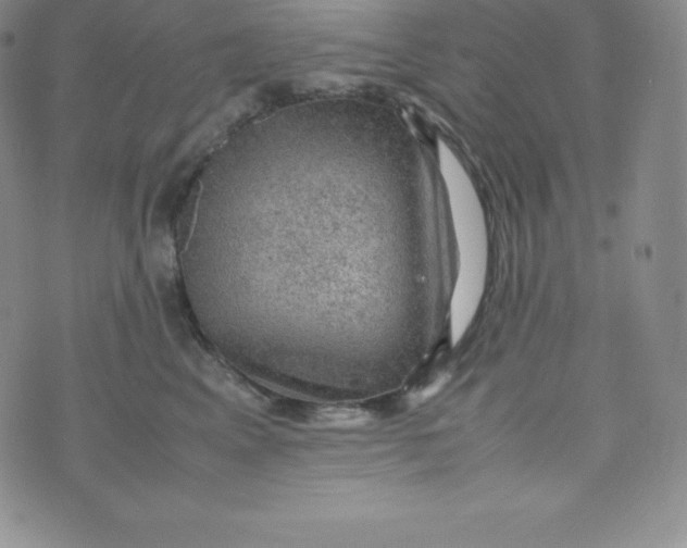 X0000070370617200606301858