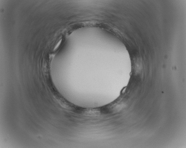 X0000070370619200606301858