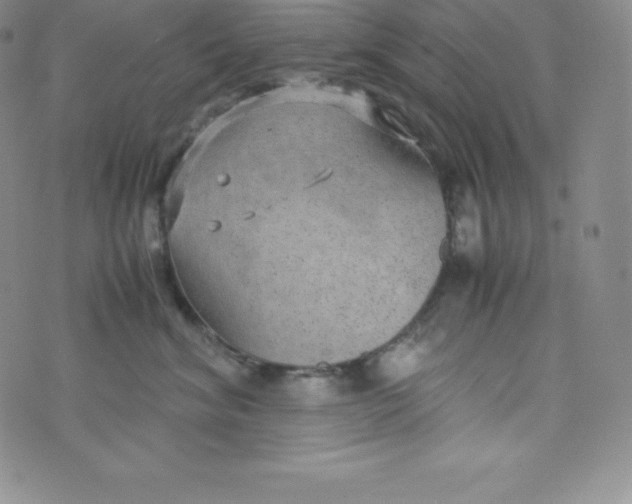 X0000070370620200606301858