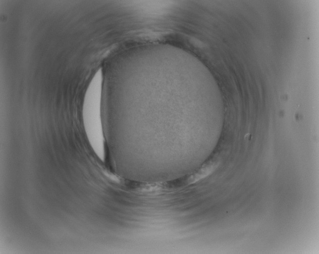 X0000070370624200606301858