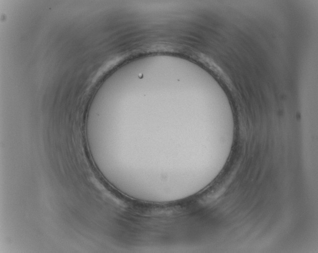 X0000070370625200606301857