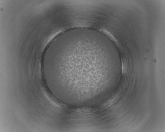 X0000070370627200606301857